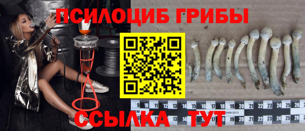 ГАШ Торжок
