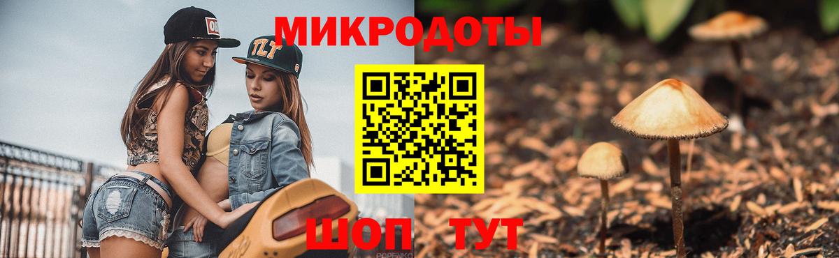 Торжок  Псилоцибиновые грибы прущие грибы  Галлюциногенные грибы ЛСД  Вход с VPN 
